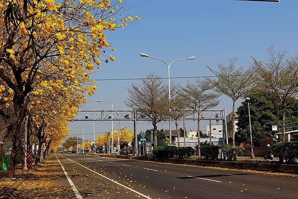 _MG_9630.JPG