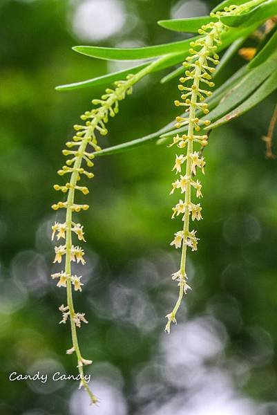 IMG_9675_副本.jpg