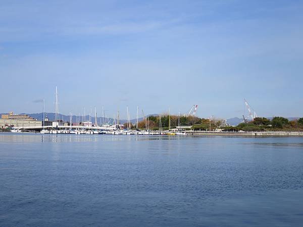 IMG_2819.JPG