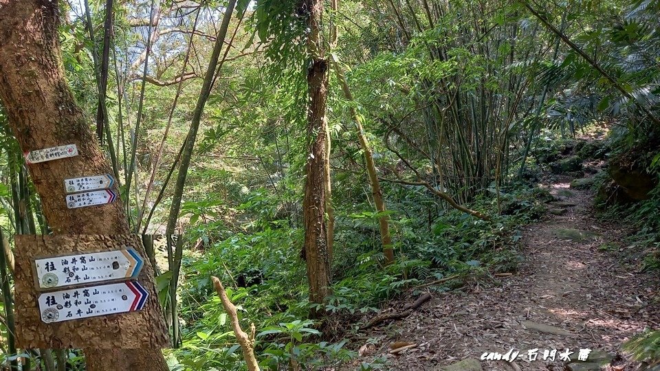 ❤♡石門水庫&amp;小竹坑古道(石牛山前)