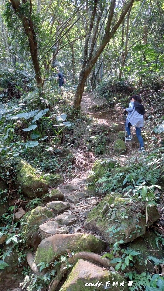 ❤♡石門水庫&amp;小竹坑古道(石牛山前)