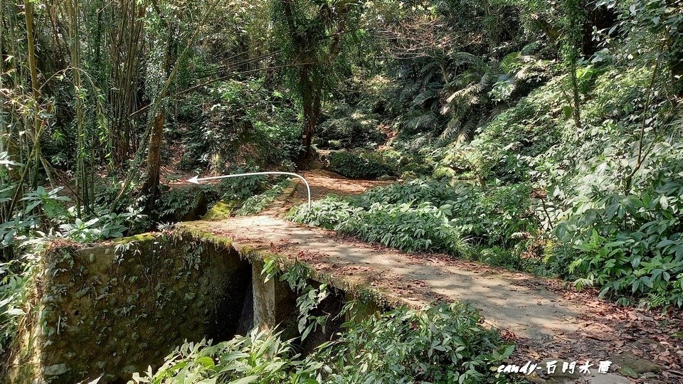 ❤♡石門水庫&amp;小竹坑古道(石牛山前)