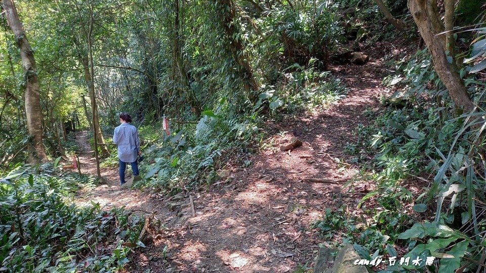 ❤♡石門水庫&amp;小竹坑古道(石牛山前)