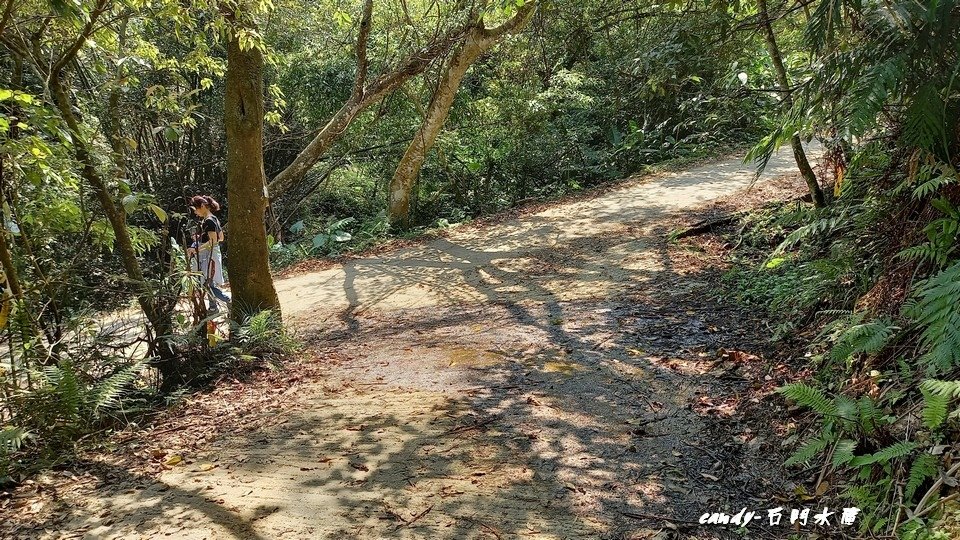 ❤♡石門水庫&amp;小竹坑古道(石牛山前)