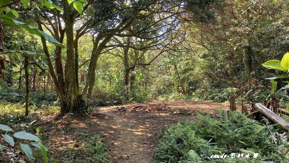 ❤♡石門水庫&amp;小竹坑古道(石牛山前)