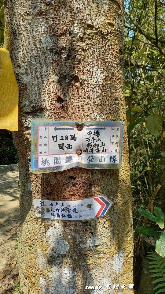 ❤♡石門水庫&amp;小竹坑古道(石牛山前)