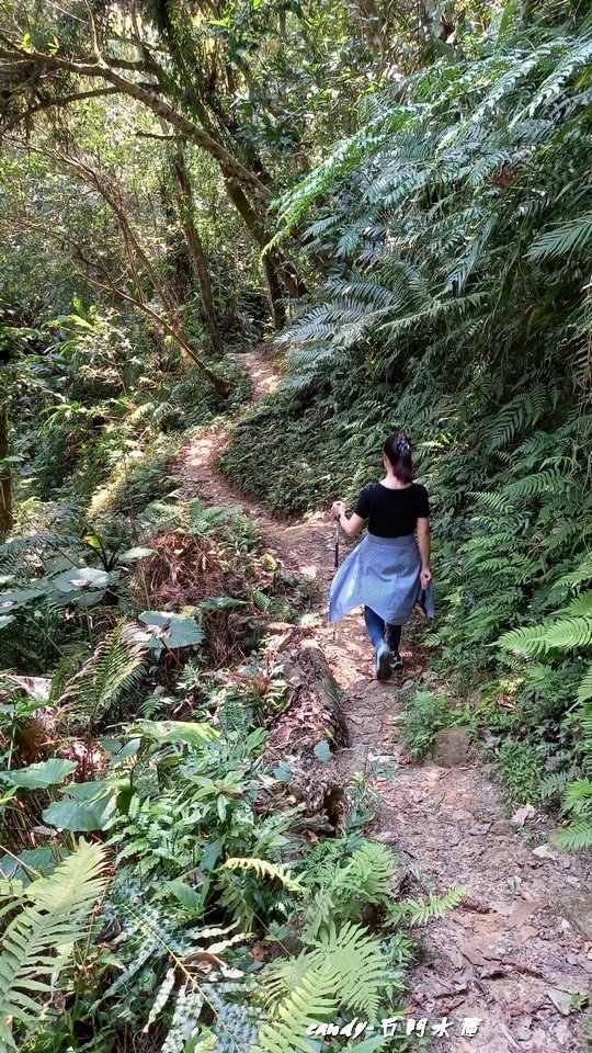 ❤♡石門水庫&amp;小竹坑古道(石牛山前)