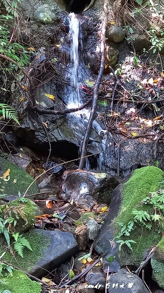 ❤♡石門水庫&amp;小竹坑古道(石牛山前)