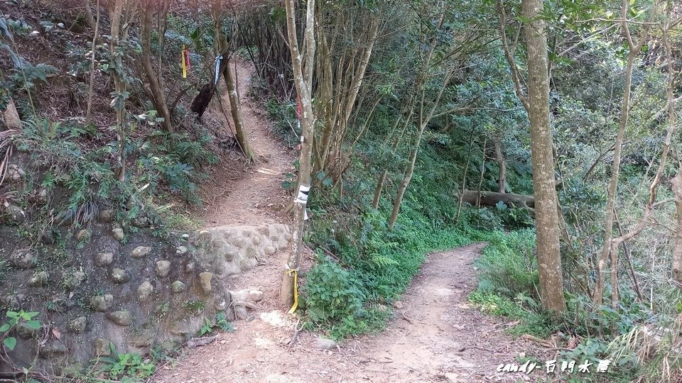 ❤♡石門水庫&amp;小竹坑古道(石牛山前)