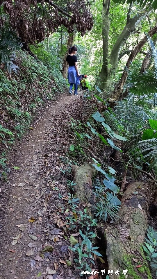 ❤♡石門水庫&amp;小竹坑古道(石牛山前)