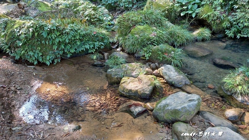 ❤♡石門水庫&amp;小竹坑古道(石牛山前)