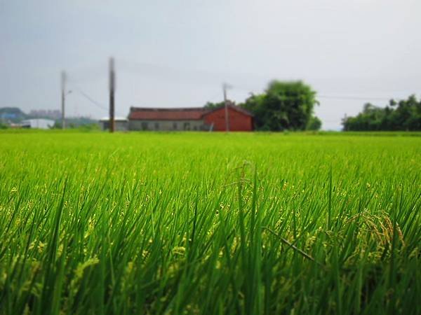 IMG_0021