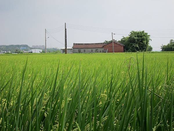 IMG_0020