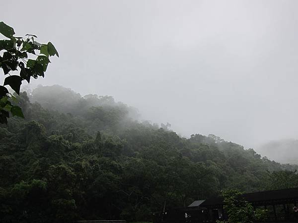 IMG_0206