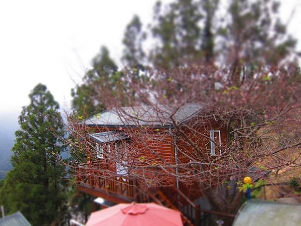 IMG_0891