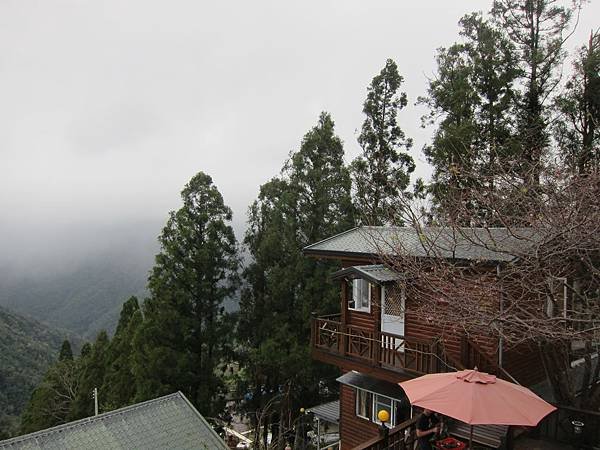 IMG_0896