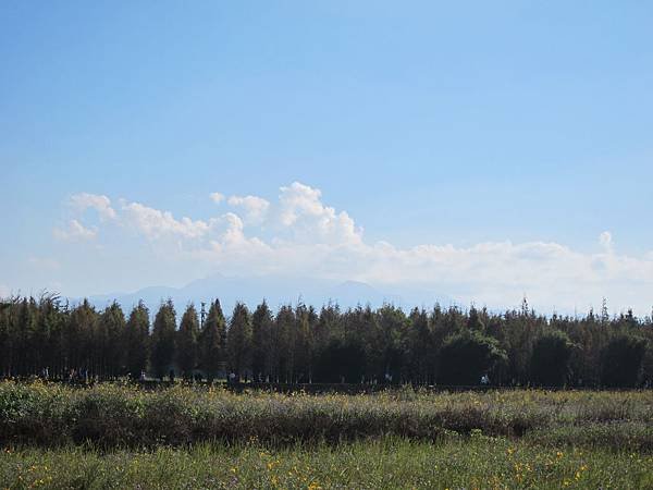 IMG_0002