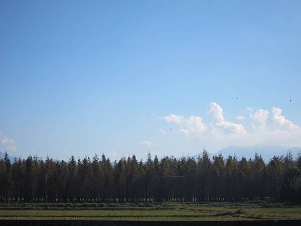 IMG_0005