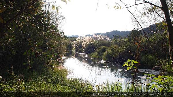 大安溪峽谷入口處一景 (1).JPG