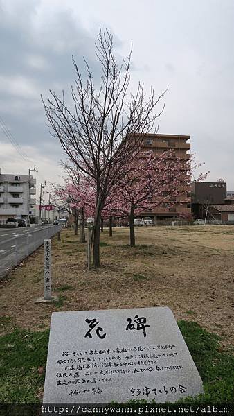 宇多津櫻花公園