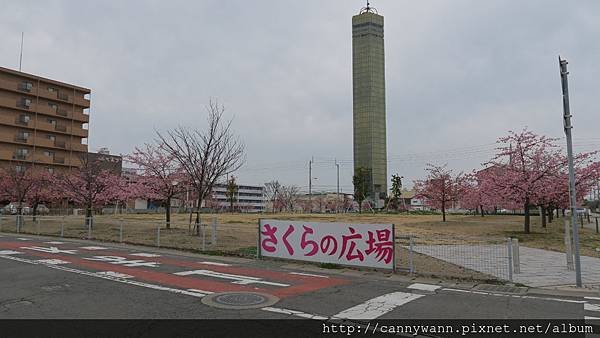 宇多津櫻花公園