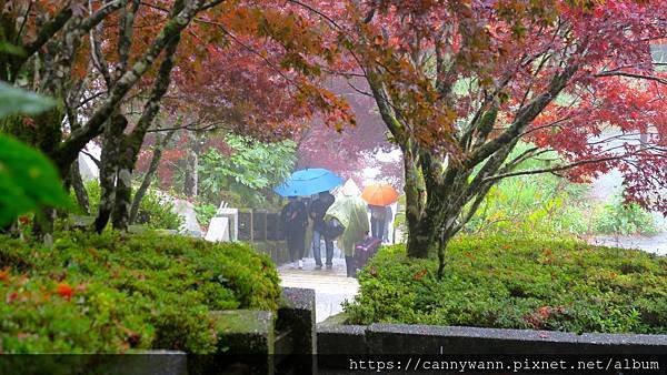 IMG_8145.JPG