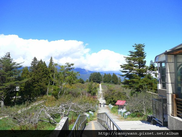 福壽山農場果園