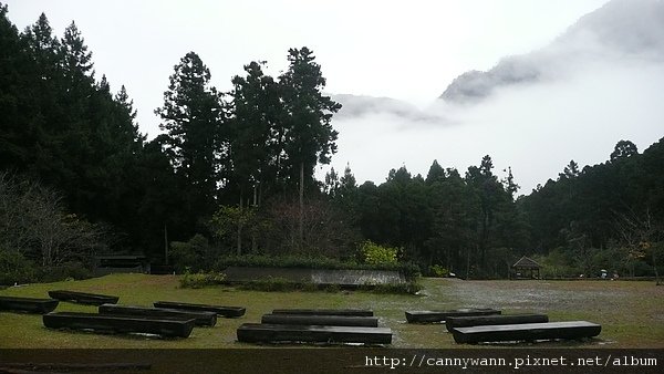 寒冬雨中的溪頭 (4).JPG