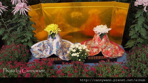 松本城菊花展