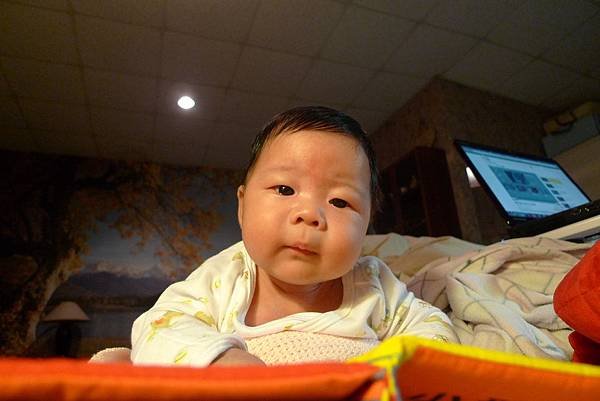 P1150475.JPG
