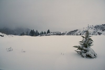 IMG_2545.JPG