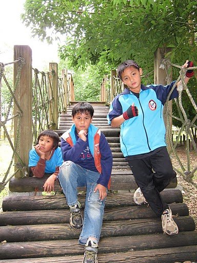 10.bmp