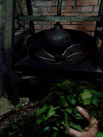 IMG_20131012_134835.jpg