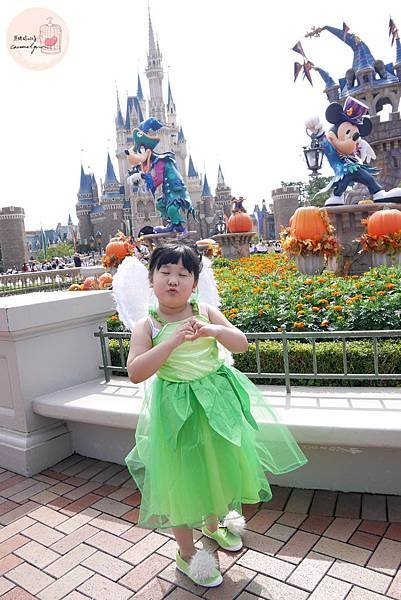 52角P1130148 (12).JPG