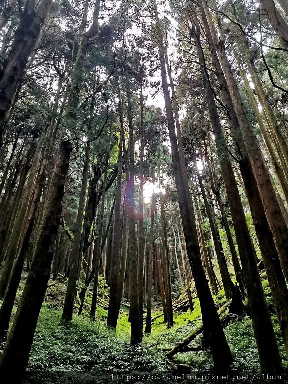 08 特富野古道.jpg