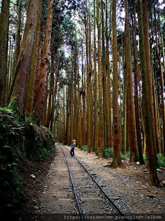 07 特富野古道.jpg