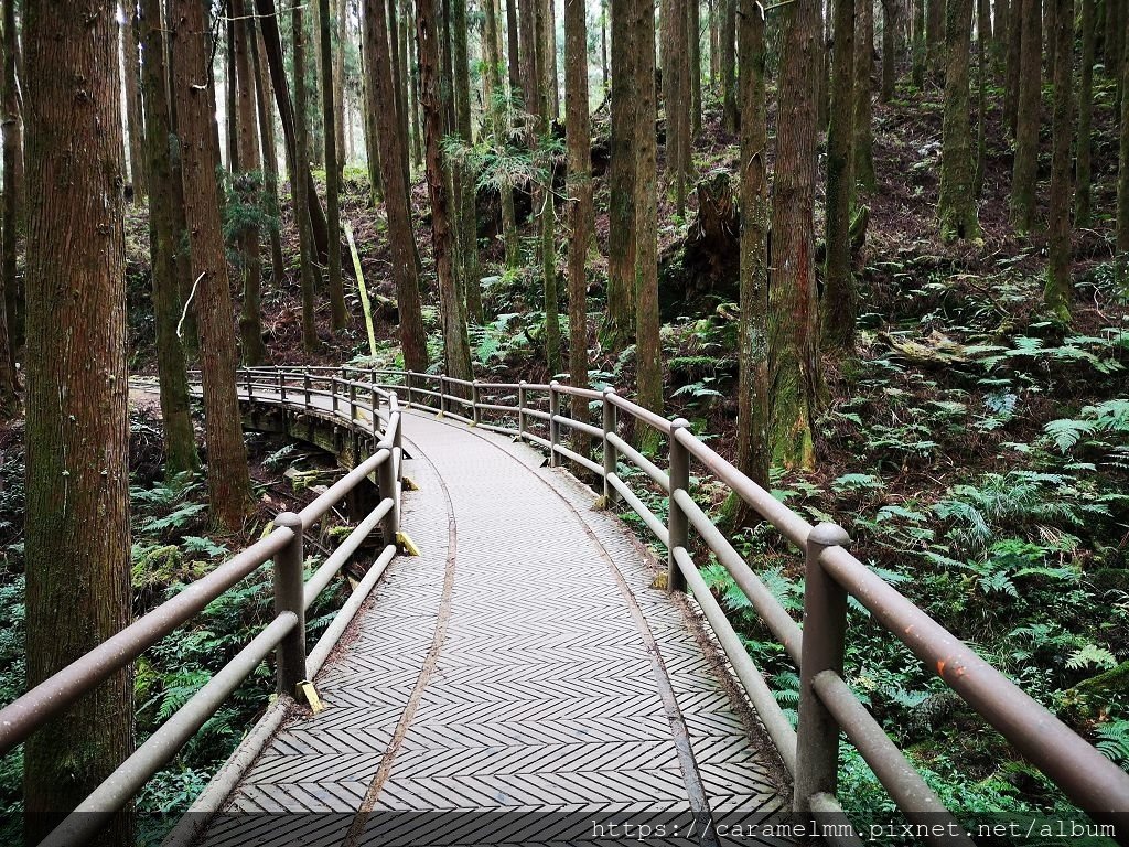 13 特富野古道 山水線舊鐵道.jpg