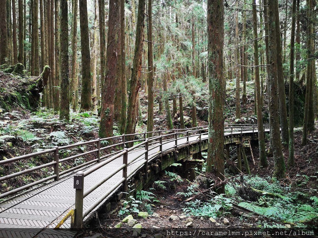 12 特富野古道 山水線舊鐵道.jpg