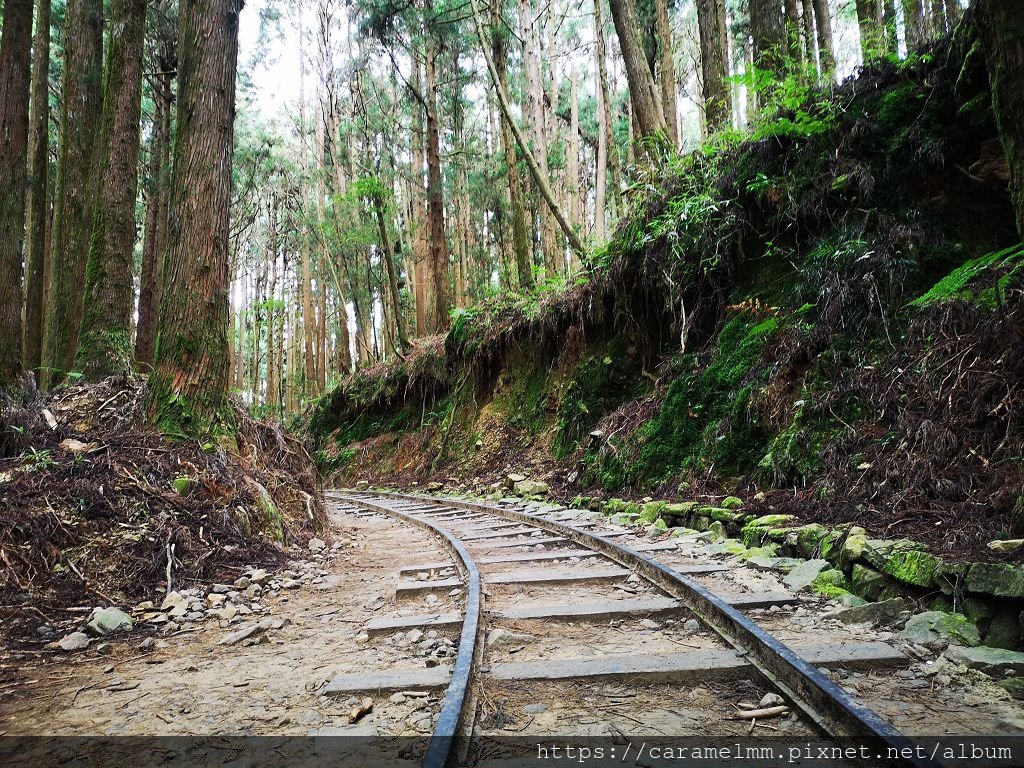 14 特富野古道.jpg