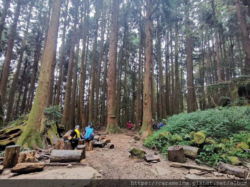 51 特富野古道 3.7K 折返處.jpg