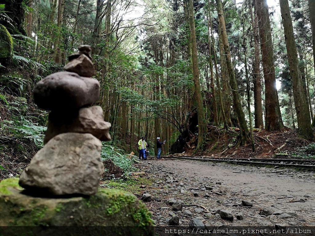 80 特富野古道.jpg