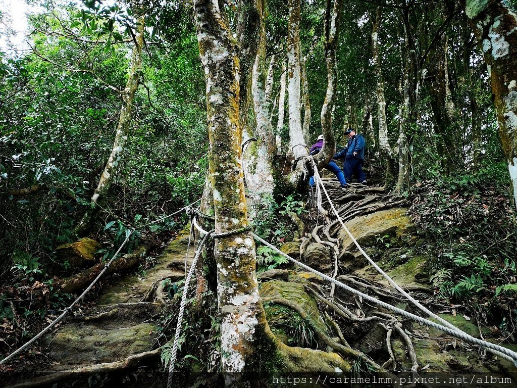 21 仙山登山步道.jpg