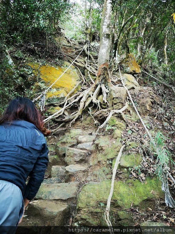 22 仙山登山步道.jpg