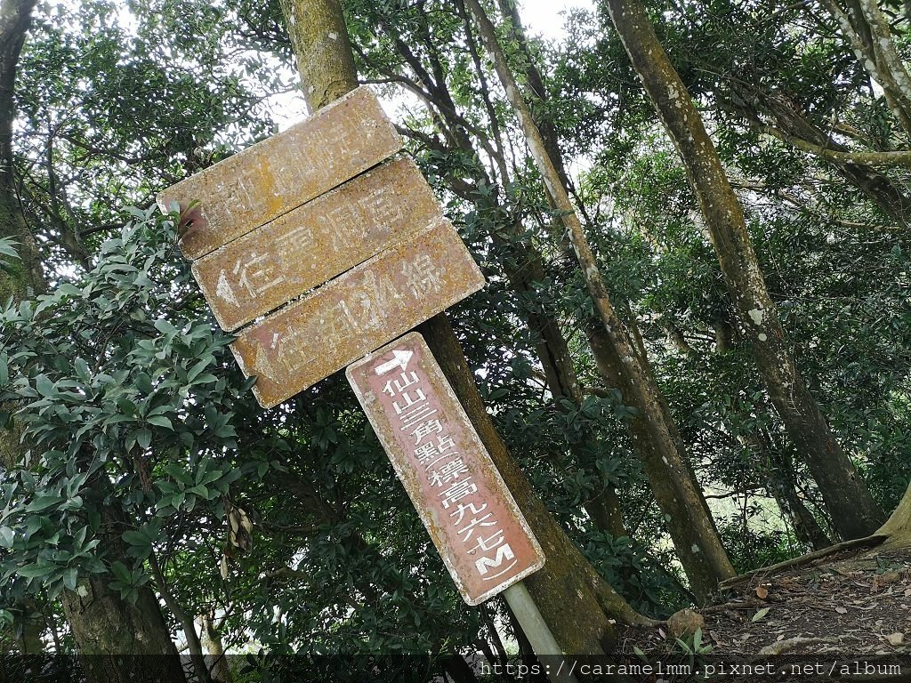 13 仙山登山步道.jpg