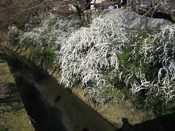 2011kyoto 089.JPG