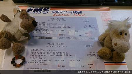 ticket