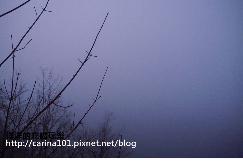 P17.jpg