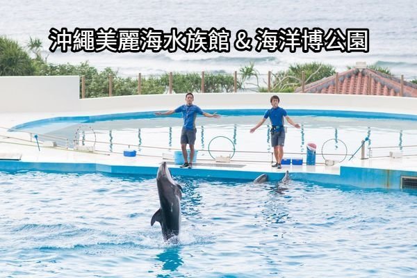 沖繩必去|| 美麗海水族館 &amp; 海洋博公園，旁邊就是大海!