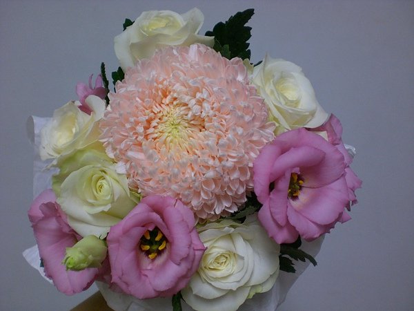 20100612flower (4).JPG