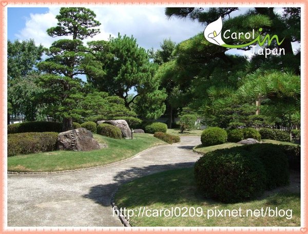 DSCF2959.jpg